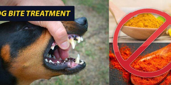 Dog Bite Treatment