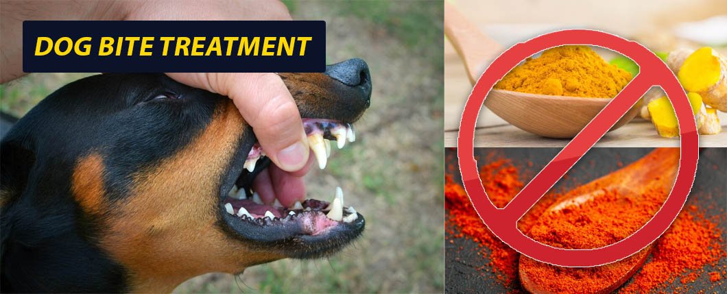 Dog Bite Treatment